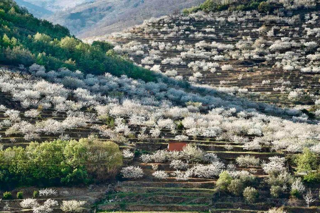 Apartamento Rural Se De Un Lugar El Torno  Exterior foto