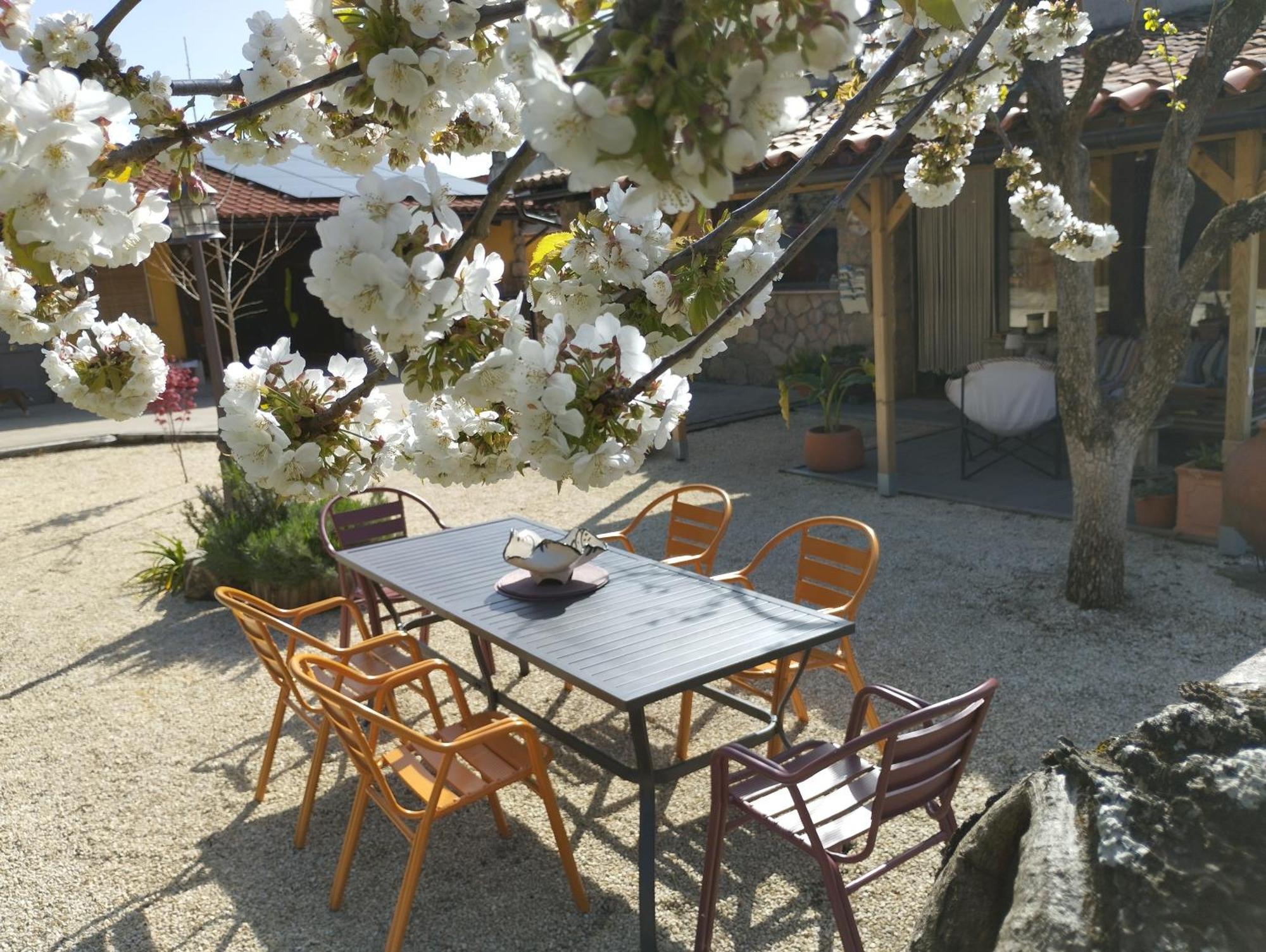 Apartamento Rural Se De Un Lugar El Torno  Exterior foto